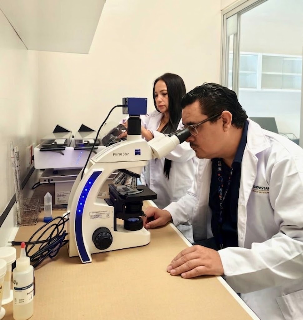 Fotografía de Proyectos de Investigación